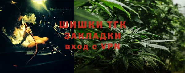 гашик Аркадак